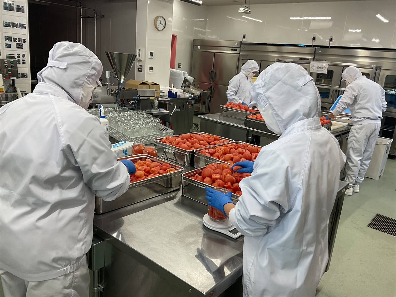 トマトの水煮缶詰 - 加工前のトマト