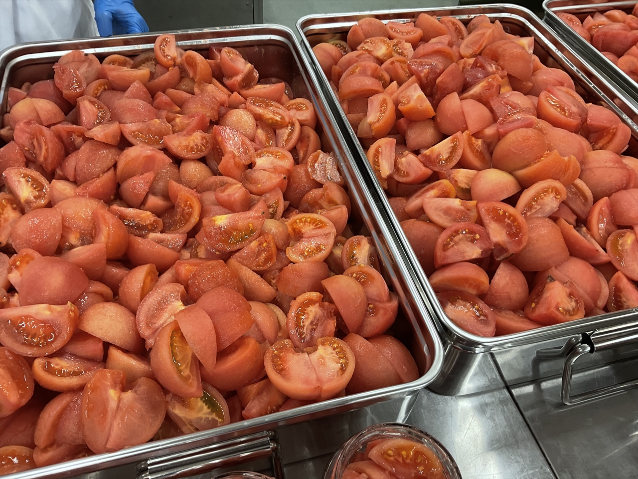 トマトの水煮缶詰 - 缶詰め作業